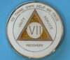 07 Year Medallion White Sparkle Tri-Plate