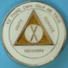 10 Year Medallion White Sparkle Tri-Plate