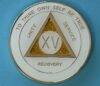 15 years white sparkle tri-plate 15 Year Medallion White Sparkle Tri-Plate