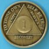 01 Year Bronze Medallion