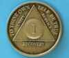 01 Year Bronze Medallion