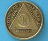 2 years bronze 02 Year Bronze Medallion