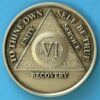 6 years bronze 06 Year Bronze Medallion