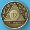9 years bronze 09 Year Bronze Medallion