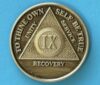 9 years bronze 09 Year Bronze Medallion