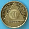 11 years bronze 11 Year Bronze Medallion