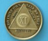 11 years bronze 11 Year Bronze Medallion