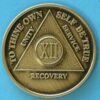 12 years bronze 12 Year Bronze Medallion