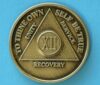 12 years bronze 12 Year Bronze Medallion