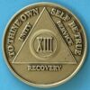 13 years bronze 13 Year Bronze Medallion