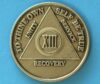 13 years bronze 13 Year Bronze Medallion