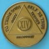 14 years bronze 14 Year Bronze Medallion