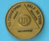 14 years bronze 14 Year Bronze Medallion