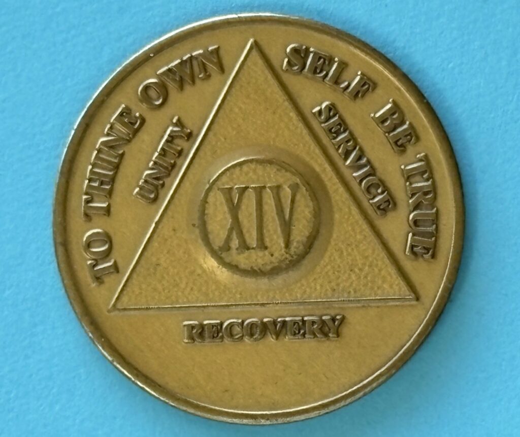 14 Year Bronze Medallion