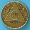 16 years bronze 16 Year Bronze Medallion