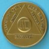 18 years bronze 18 Year Bronze Medallion