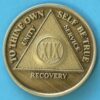 19 years bronze 19 Year Bronze Medallion