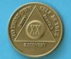 20 Year Bronze Medallion