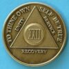 22 years bronze 22 Year Bronze Medallion