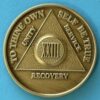 23 years bronze 23 Year Bronze Medallion