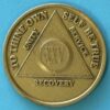 25 years bronze 25 Year Bronze Medallion