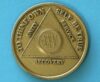 25 Year Bronze Medallion