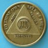 26 years bronze 26 Year Bronze Medallion