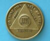 26 years bronze 26 Year Bronze Medallion