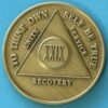 29 years bronze 29 Year Bronze Medallion