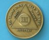 29 years bronze 29 Year Bronze Medallion