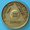 31 years bronze 31 Year Bronze Medallion