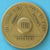 33 Year Bronze Medallion