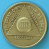 35 Year Bronze Medallion