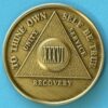 36 Year Bronze Medallion