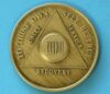 38 years bronze 38 Year Bronze Medallion