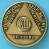 41 years bronze 41 Year Bronze Medallion