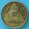 45 Year Bronze Medallion
