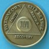 47 years bronze 47 Year Bronze Medallion