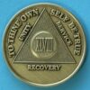48 Year Bronze Medallion