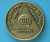 49 years bronze 49 Year Bronze Medallion