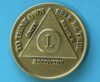 50 years bronze 50 Year Bronze Medallion