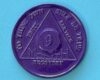 9 months aluminum 09 Month Aluminum Medallion
