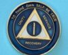 01 Year Medallion Blue and Pearl Tri-Plate