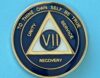 07 Year Medallion Blue and Pearl Tri-Plate