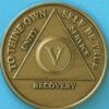 5 Year Bronze 05 Year Bronze Medallion