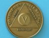 5 Year Bronze 05 Year Bronze Medallion
