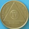 15 Year Bronze 15 Year Bronze Medallion