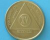 15 Year Bronze 15 Year Bronze Medallion