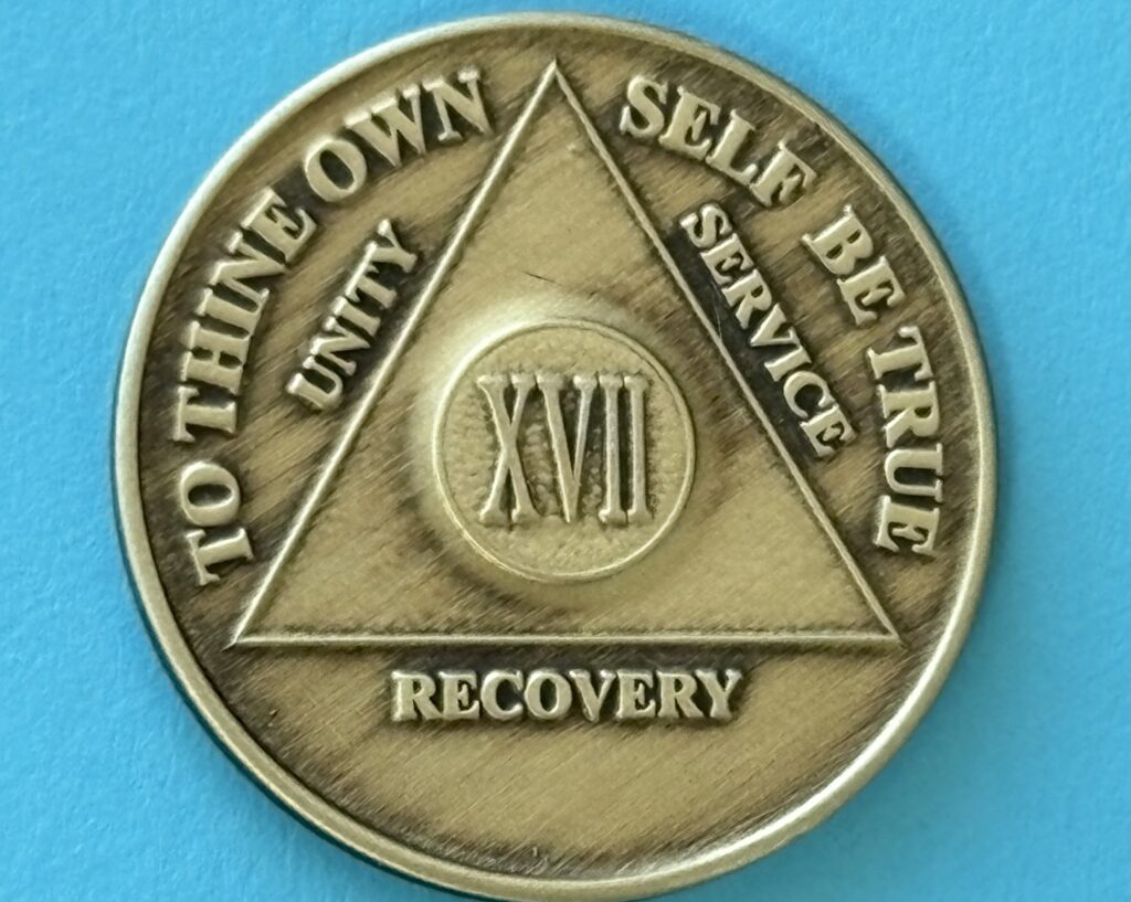 17 Year Bronze Medallion