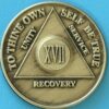 17 Year Bronze 17 Year Bronze Medallion